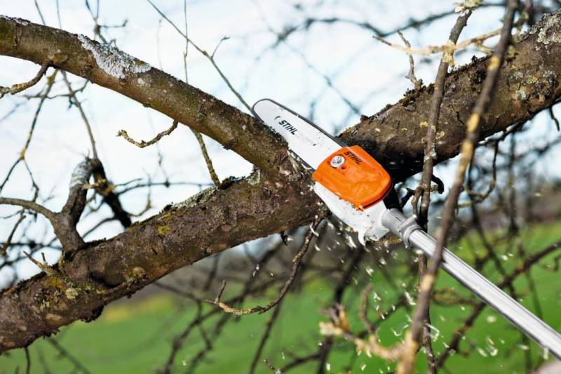 Louer une élagueuse sur perche dans les Landes